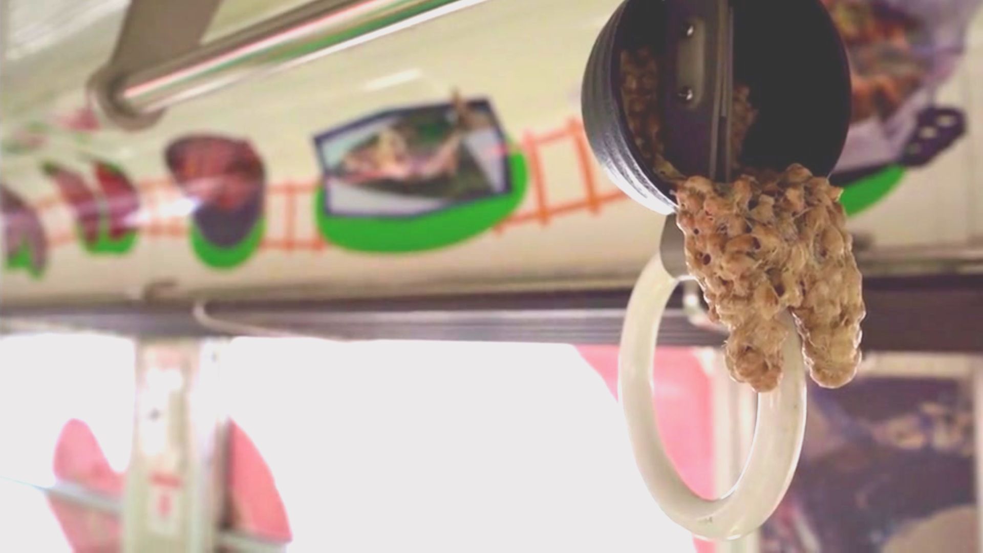 公式】食品サンプル列車｜長良川鉄道株式会社